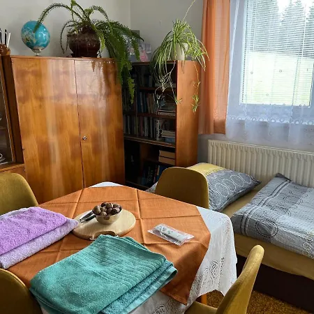 Prizemi Rodinneho Domu Kostalov